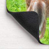 Twin White Schwanz Deer Fawns Mousepad (Ecke)