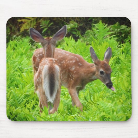 Twin White Schwanz Deer Fawns Mousepad (Vorne)