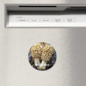 Twin Yellow Morels, ~Michigan Morels~ Magnet (In Situ (Geschirrspüler))