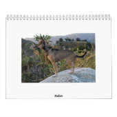 Twinkies 2011 Academic-Kalender Kalender (Rückseite)