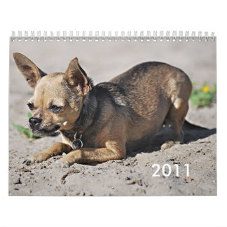 Twinkies 2011 Academic-Kalender Kalender