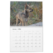 Twinkies 2011 Academic-Kalender Kalender (Jan 2026)