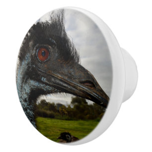 "Twinkle im Auge: Ein neugieriger Blick der Emu" Keramikknauf