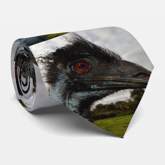 "Twinkle im Auge: Ein neugieriger Blick der Emu" Krawatte (Gerollt)