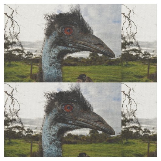 "Twinkle im Auge: Ein neugieriger Blick der Emu" Stoff (Nahaufnahme)