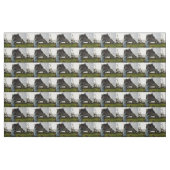"Twinkle im Auge: Ein neugieriger Blick der Emu" Stoff (Fat Quarter (45,7 x 55,9 cm))