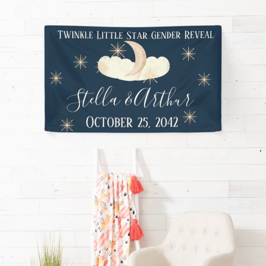 Twinkle Little Star Party Signs - Celestial Gender Banner (Insitu)