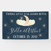 Twinkle Little Star Party Signs - Celestial Gender Banner (Horizontal)
