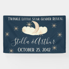 Twinkle Little Star Party Signs - Celestial Gender Banner