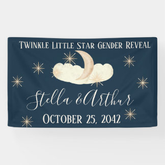 Twinkle Little Star Party Signs - Celestial Gender Banner