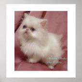 TWINKLE LITTLE STAR POSTER (Vorne)