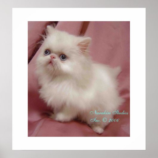 TWINKLE LITTLE STAR POSTER (Vorne)