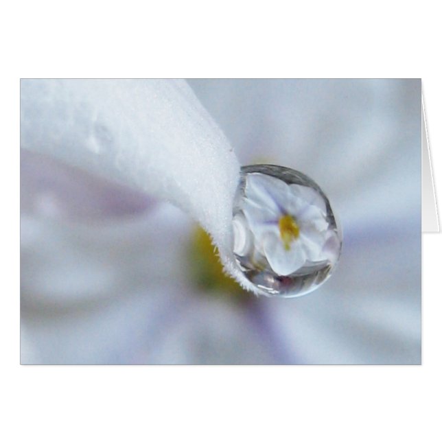 Twinkle Twinkle Card (Vorderseite (Horizontal))