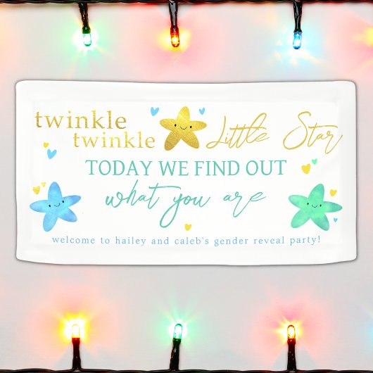 Twinkle Twinkle Little Star Gender Reveal Banner