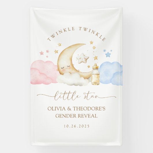 Twinkle Twinkle Little Star Gender Reveal Welcome Banner (Vertikal)