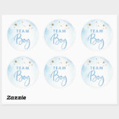 Twinkle Twinkler Gender Reveal Stickers Team Boy (Blatt)