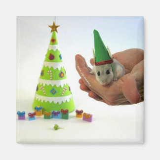 Twinkletoes der Elf! Magnet