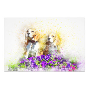 Twins Dogs Fotodruck