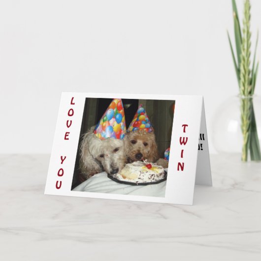 **TWIN'S** GEBURTSTAG ERINNERN SIE SICH ALLES, WAS KARTE (Vorderseite)