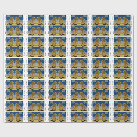 Twins Geschenkpapier (Flach)