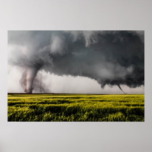 Twins Poster (Vorne)