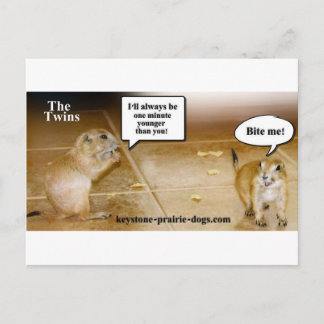 Twins Postkarte