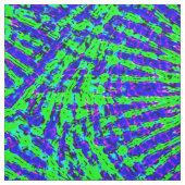 Twirling Sea Urchins..... Stoff (Muster)