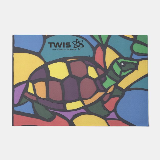 TWIS #blairsanimalcorner Box Turtle Doormat  Fußmatte (Vorderseite)