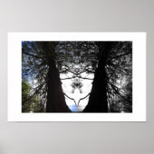 Twisted Branches Yosemite Reflection Photography Poster (Vorne)