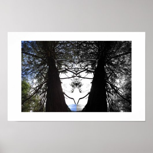 Twisted Branches Yosemite Reflection Photography Poster (Vorne)