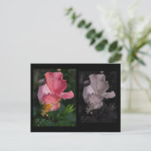 Twisted Hibiskus Postcard Postkarte (Stehend Vorderseite)