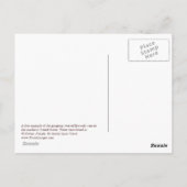 Twisted Live Oaks Postcard Postkarte (Rückseite)