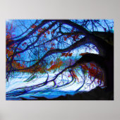 Twisted Oak Poster (Vorne)