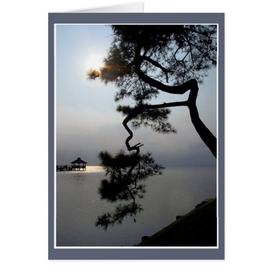 Twisted Pine (Vorne)