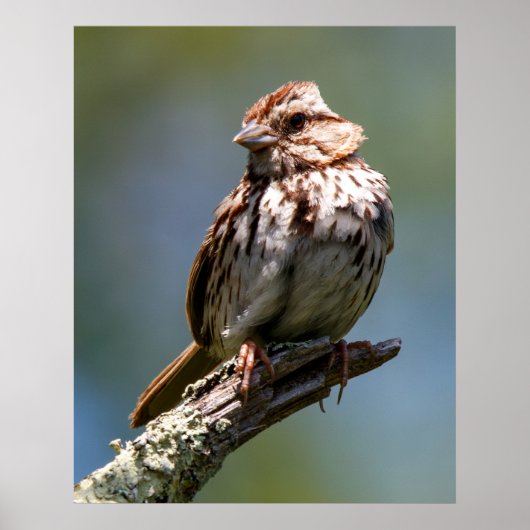 Twisted Poster (Vorne)