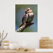 Twisted Poster (Küche)