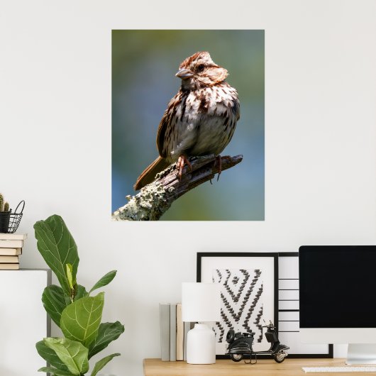 Twisted Poster (Heimbüro)