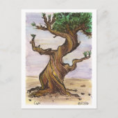 Twisted Tree Postcard Postkarte (Vorderseite)