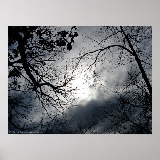 Twisted Trees Winter Storm Cloud Sky Poster (Vorne)