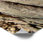 Twisty Tree Bark Poster (Ecke)