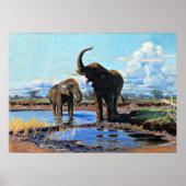 Two African Elephants at Watering Hole Poster (Vorne)