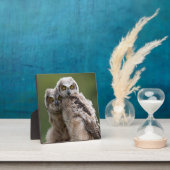 Two Baby Great Horned Owls Fotoplatte (InSitu)