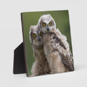 Two Baby Great Horned Owls Fotoplatte (Vorderseite)