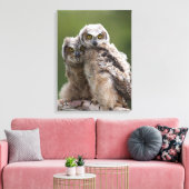 Two Baby Great Horned Owls Leinwanddruck (Insitu (Wohnzimmer))