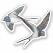 Two Barn Swallows Flying High in the Blue Sky Aufkleber (Vorderseite)
