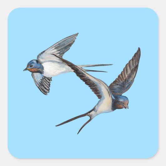 Two Barn Swallows Flying High in the Blue Sky Quadratischer Aufkleber (Vorderseite)