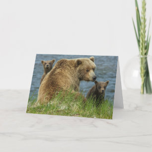 Two Brown Bear Cubs with Mother by the Water Karte