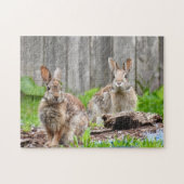 Two Bunny Rabbits Puzzle (Horizontal)