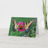 Two Butterflies Sharing a Pink Zinnia, Blank Karte (Vorderseite)