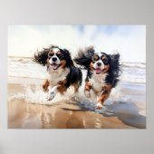 Two Cavalier King Charles Spaniels Poster (Vorne)